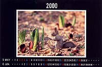 �J�����_�[�T�E�U��